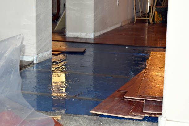 Professional Basement Water Removal technician working in Medford, OR