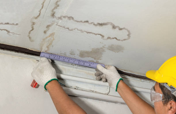 Reliable Basement Water Removal contractor in Medford, OR by Water Damage Irwin
